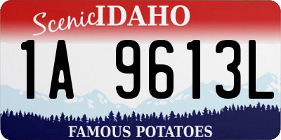 ID license plate 1A9613L