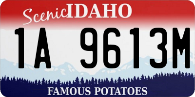 ID license plate 1A9613M