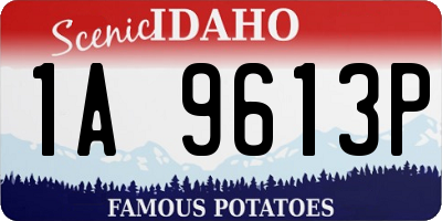 ID license plate 1A9613P