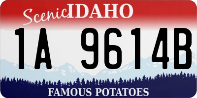 ID license plate 1A9614B