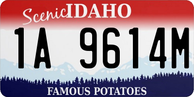 ID license plate 1A9614M