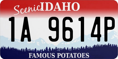 ID license plate 1A9614P