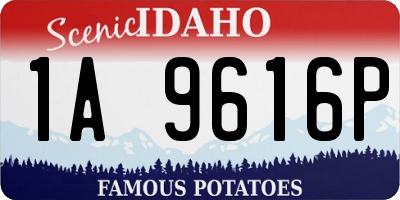 ID license plate 1A9616P