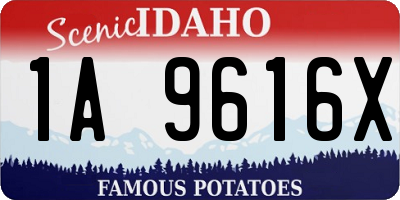 ID license plate 1A9616X