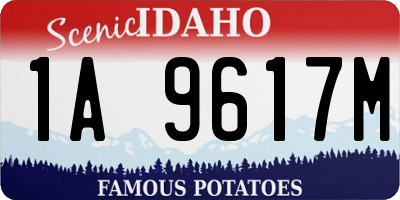 ID license plate 1A9617M