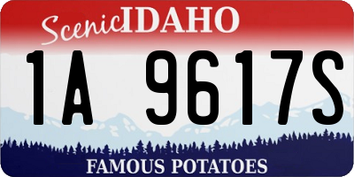 ID license plate 1A9617S