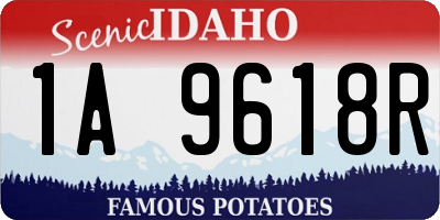 ID license plate 1A9618R