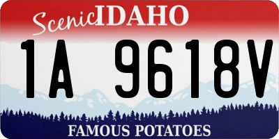 ID license plate 1A9618V
