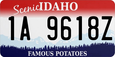 ID license plate 1A9618Z