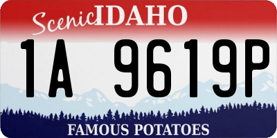 ID license plate 1A9619P