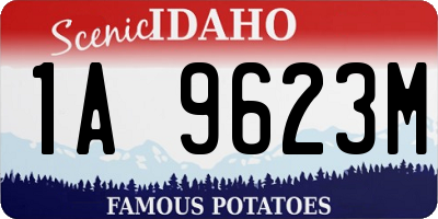 ID license plate 1A9623M