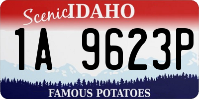 ID license plate 1A9623P