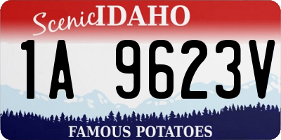 ID license plate 1A9623V