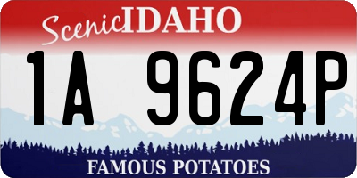 ID license plate 1A9624P
