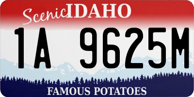 ID license plate 1A9625M