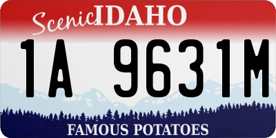 ID license plate 1A9631M