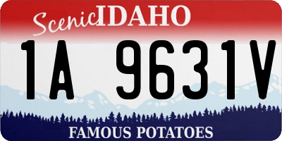 ID license plate 1A9631V