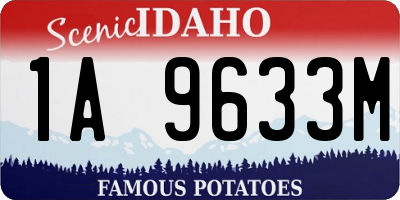 ID license plate 1A9633M