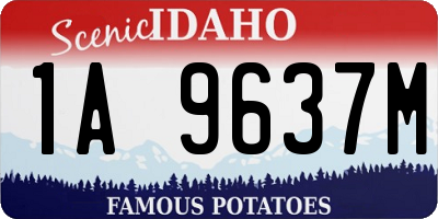 ID license plate 1A9637M