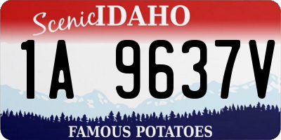ID license plate 1A9637V