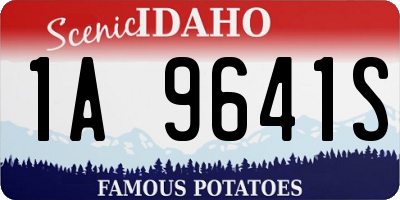 ID license plate 1A9641S