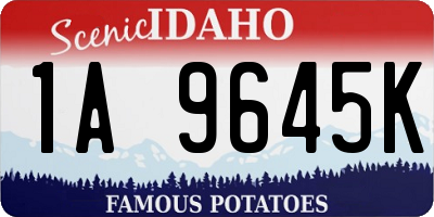 ID license plate 1A9645K