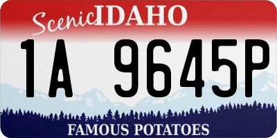 ID license plate 1A9645P