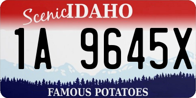 ID license plate 1A9645X