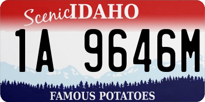 ID license plate 1A9646M