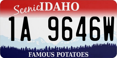 ID license plate 1A9646W