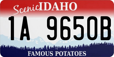 ID license plate 1A9650B