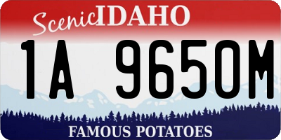 ID license plate 1A9650M