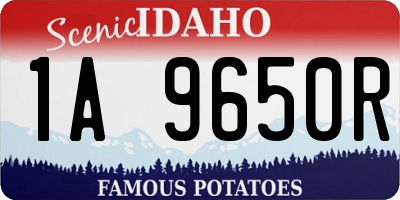 ID license plate 1A9650R
