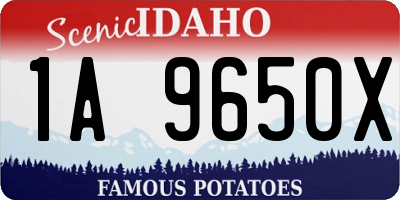 ID license plate 1A9650X