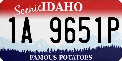 ID license plate 1A9651P