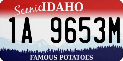ID license plate 1A9653M