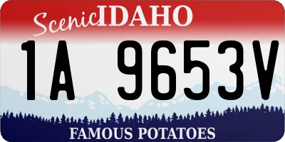 ID license plate 1A9653V
