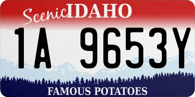 ID license plate 1A9653Y