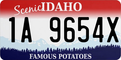 ID license plate 1A9654X