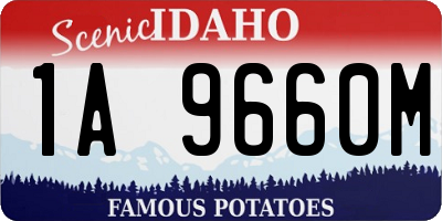ID license plate 1A9660M
