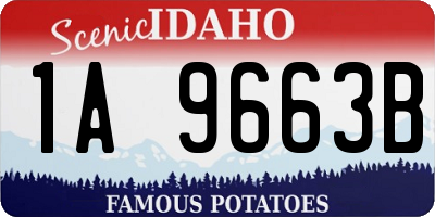 ID license plate 1A9663B
