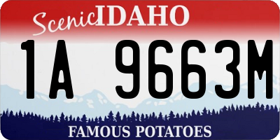 ID license plate 1A9663M