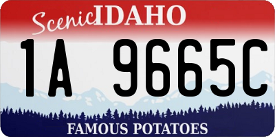 ID license plate 1A9665C