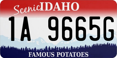 ID license plate 1A9665G