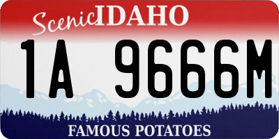 ID license plate 1A9666M