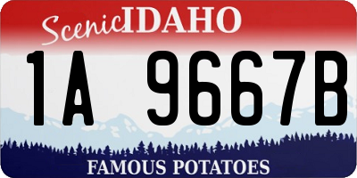 ID license plate 1A9667B