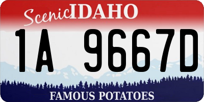 ID license plate 1A9667D