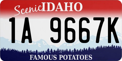 ID license plate 1A9667K