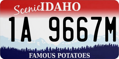 ID license plate 1A9667M