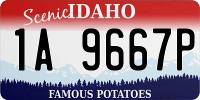 ID license plate 1A9667P